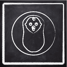 Report logo