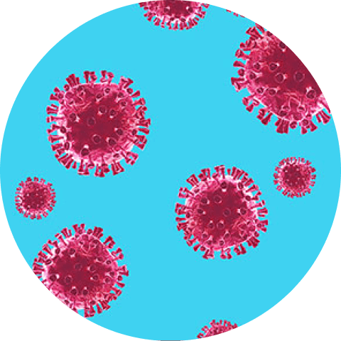 Immune System & Infectious Diseases