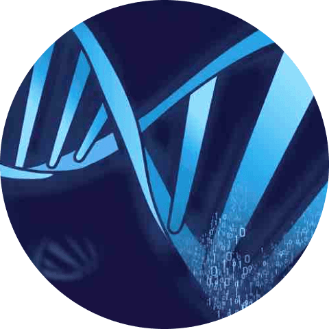 Promethease raw DNA data upload