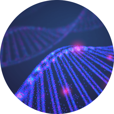 Icon for Genome Explorer search engine for DNA and WGS data