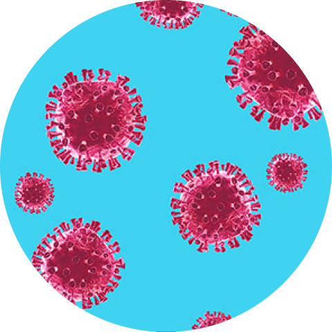 Immune system genetic test