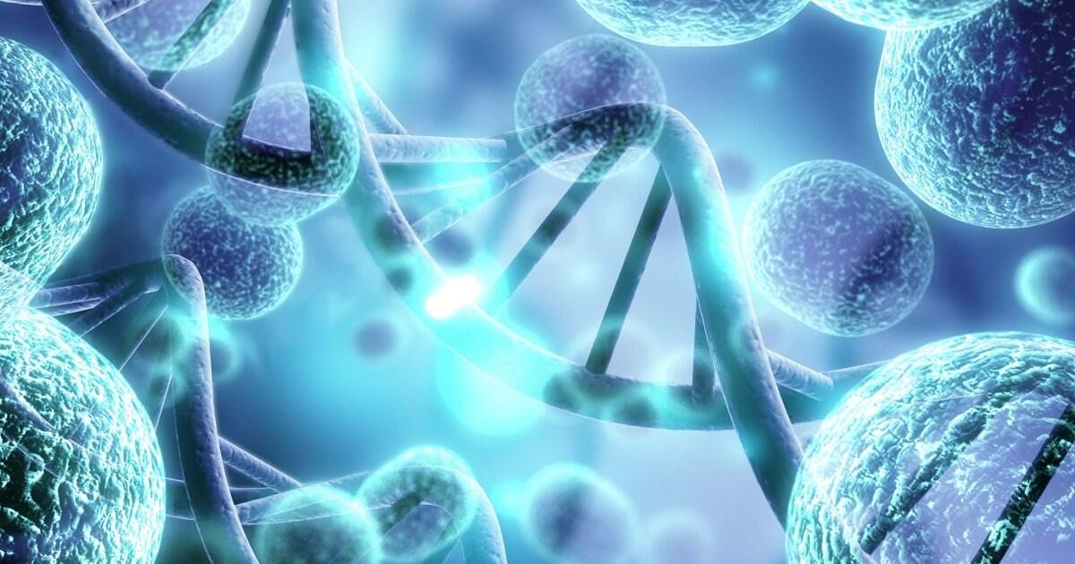 CHRNA1-Related Congenital Myasthenic Syndrome