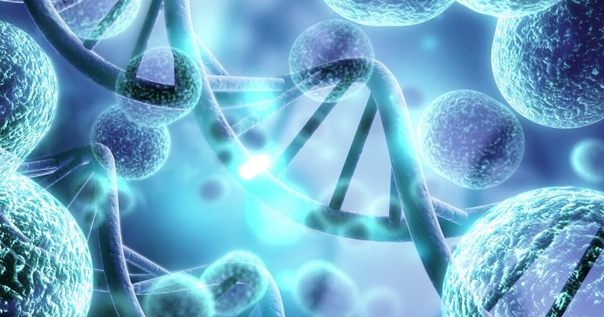 Early spermatogenesis maturation arrest