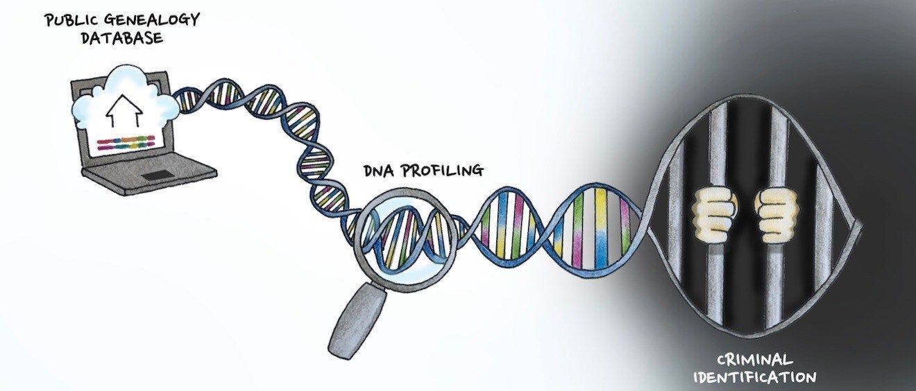 Using genetic ancestry database GEDmatch for genetic profiling