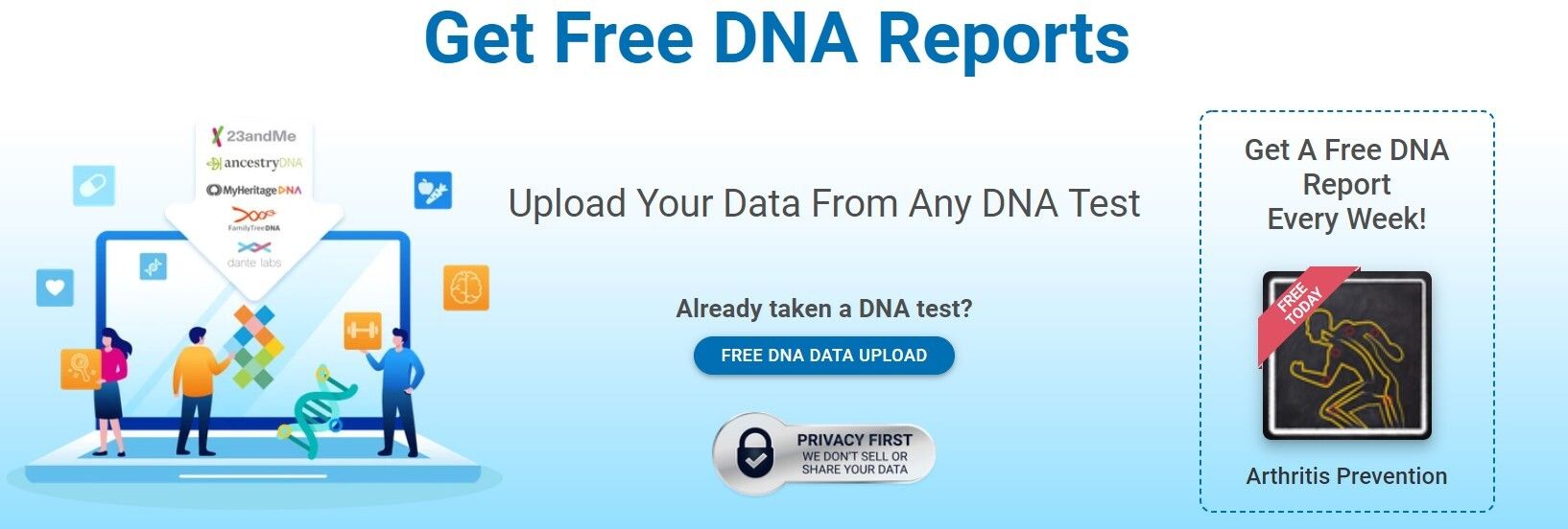 free dna test report