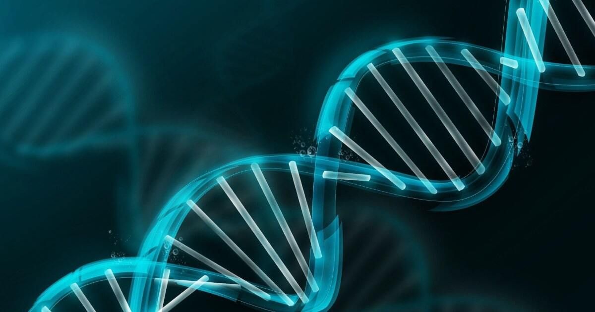 Laron syndrome with elevated serum GH-binding protein