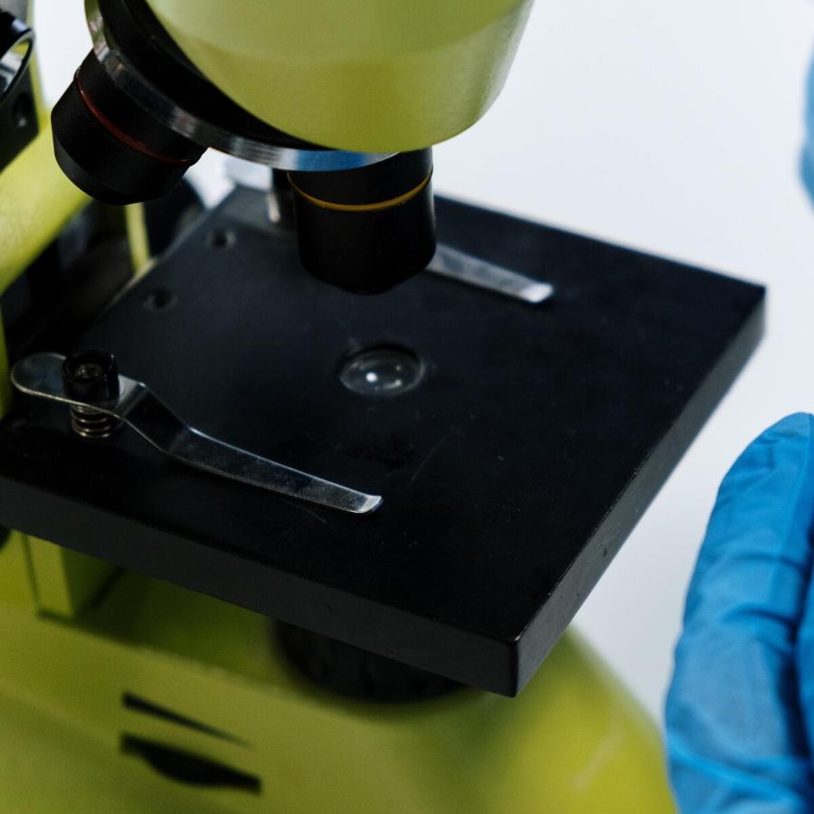 Can you do a private DNA test? - GNA