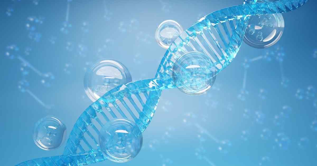 Human immunodeficiency virus type 1, rapid disease progression with infection by