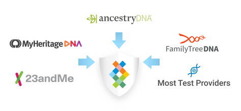 Photo of DNA Test Kits