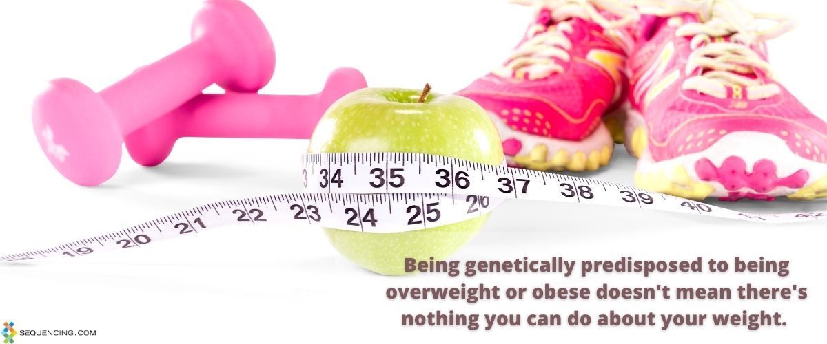 dna testing for weight loss