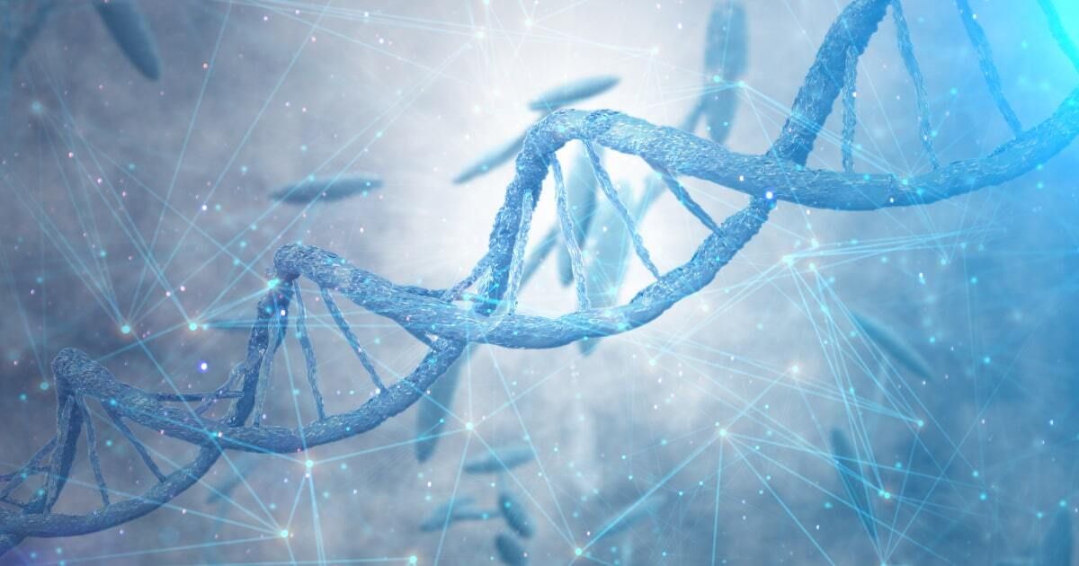 Myopathy, mitochondrial, with diabetes mellitus
