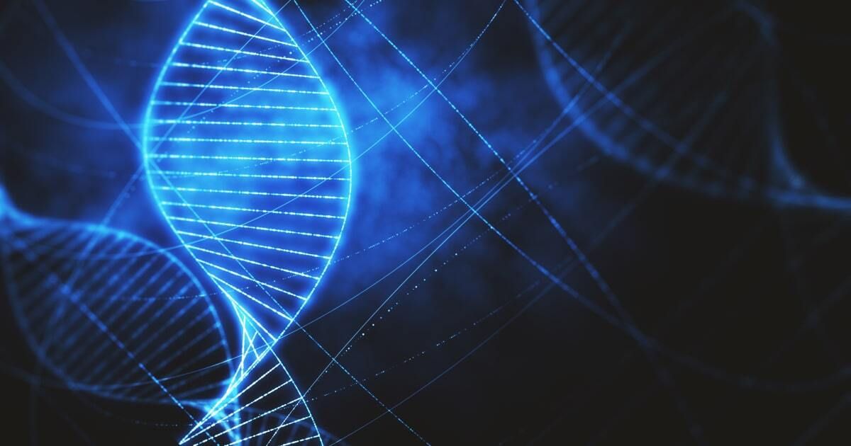 Recombination rate quantitative trait locus 1
