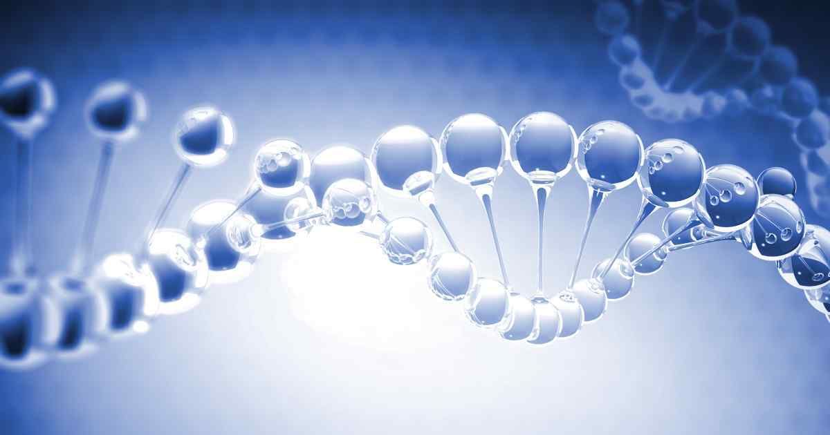 Transferrin serum level quantitative trait locus 2