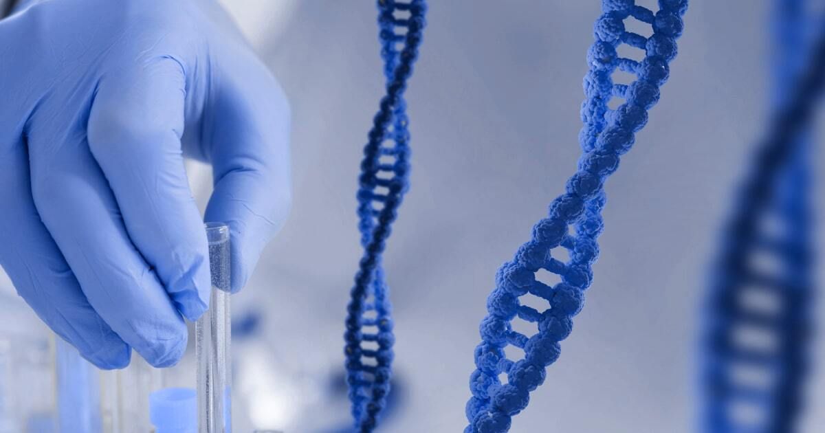 Dna Test For Islet Cell Disease photo