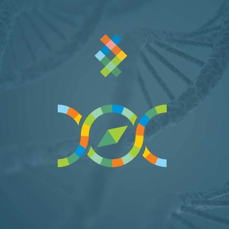 Genome explorer DNA search engine