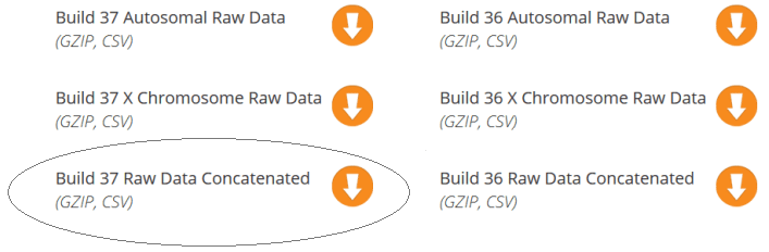 Select Build 37 Raw Data Concatenated from Family Tree options menu