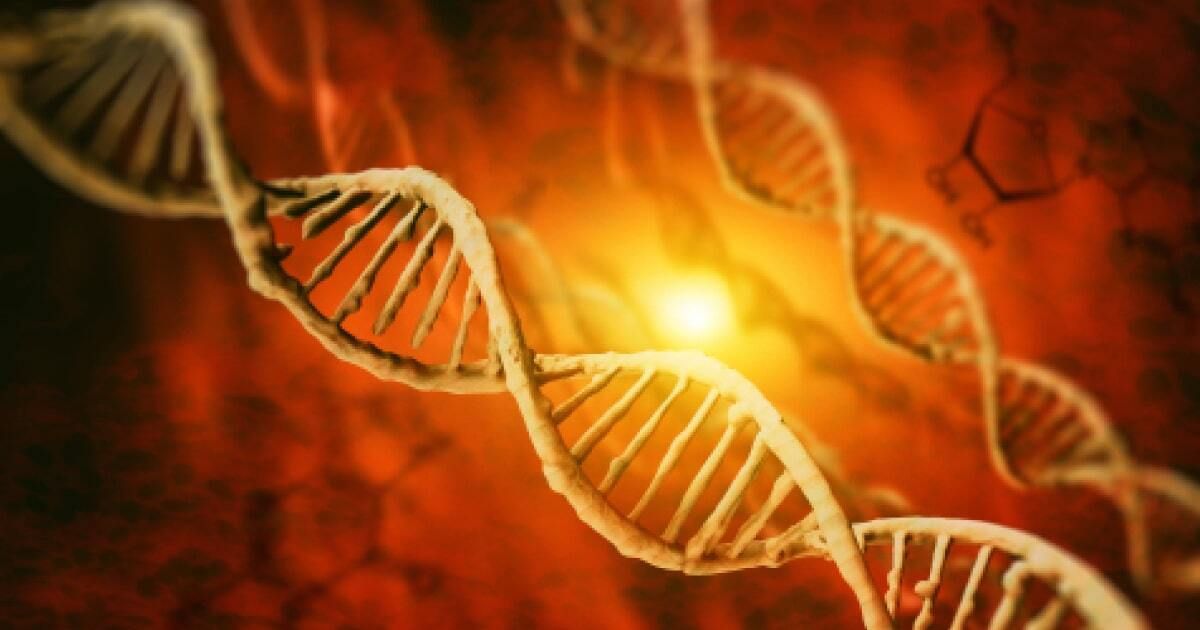 Antigen in Scianna blood group system