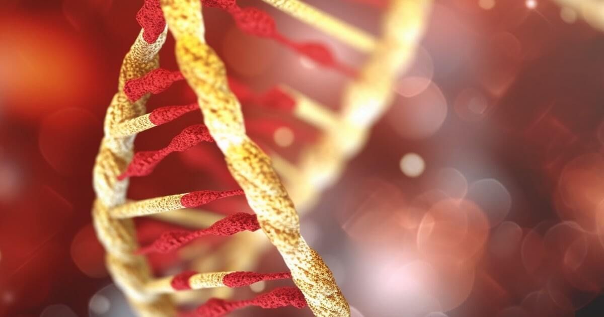 Hypogonadotropic hypogonadism 7 with or without anosmia