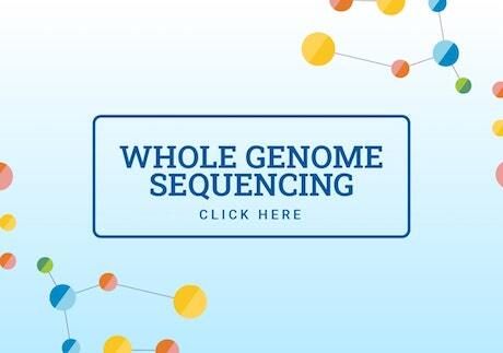 whole genome sequencing analysis service
