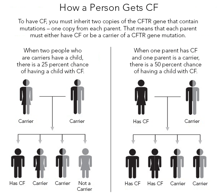 carrier testing