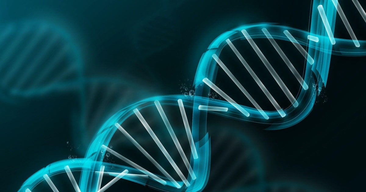 Acquired immunodeficiency syndrome, slow progression to