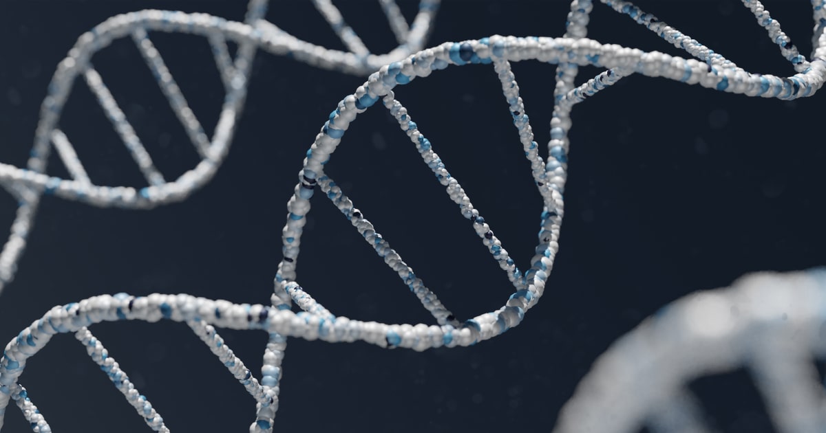 Bardet-Biedl syndrome 8