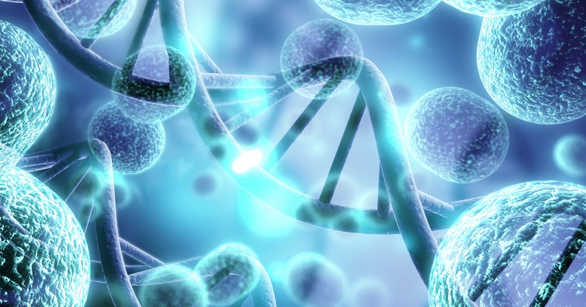 Breast-ovarian cancer, familial, susceptibility to, 4