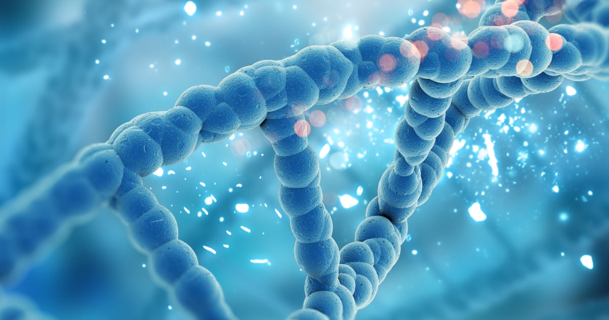 Cancer progression and tumor cell motility