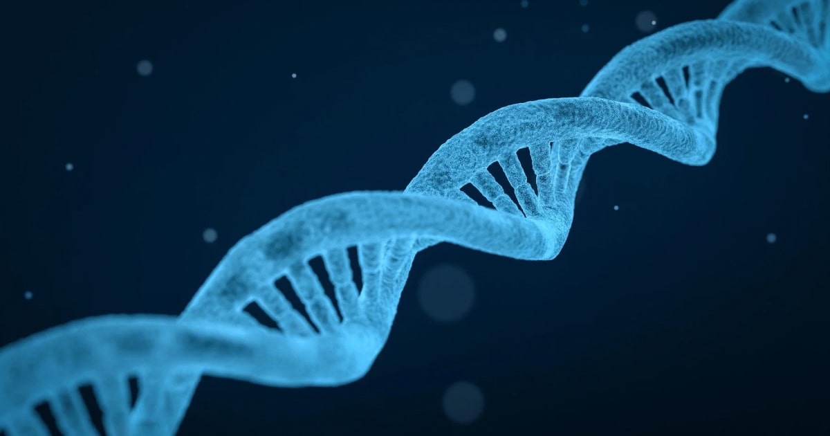 Gilbert syndrome, susceptibility to