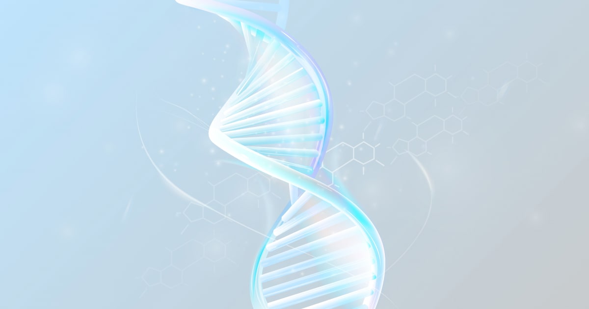 Hexosaminidase B (paris)