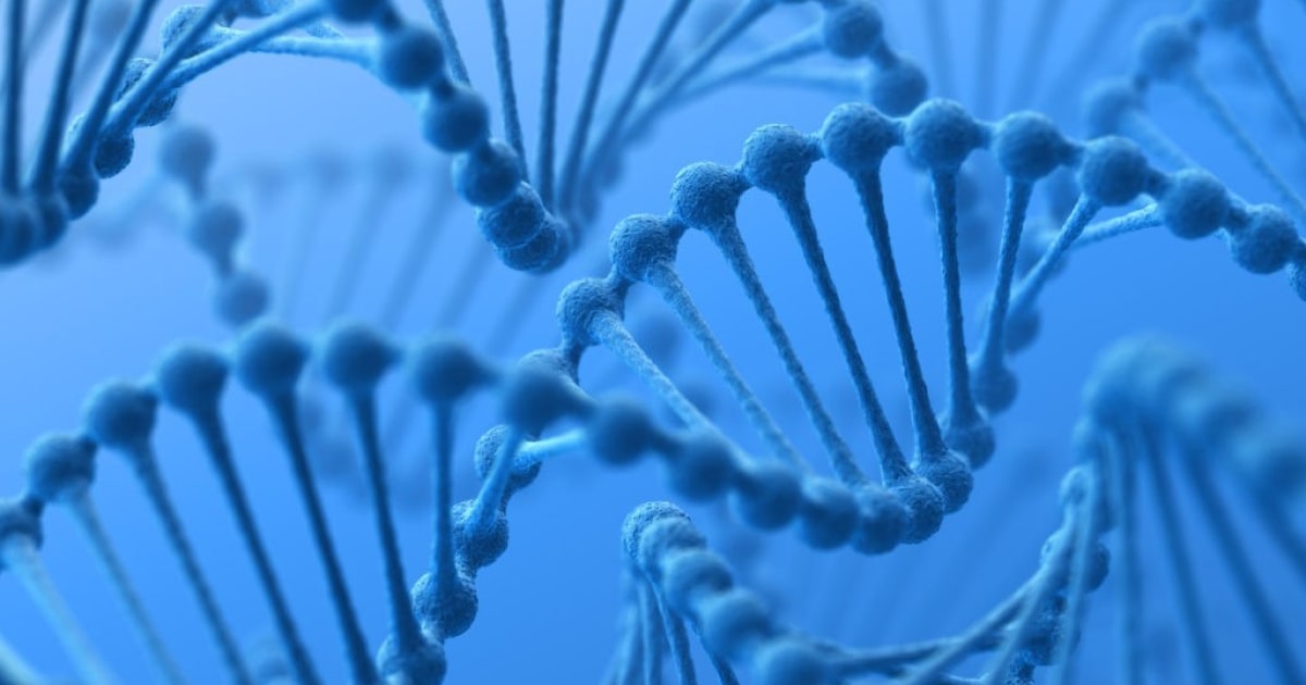 High density lipoprotein cholesterol level quantitative trait locus 12