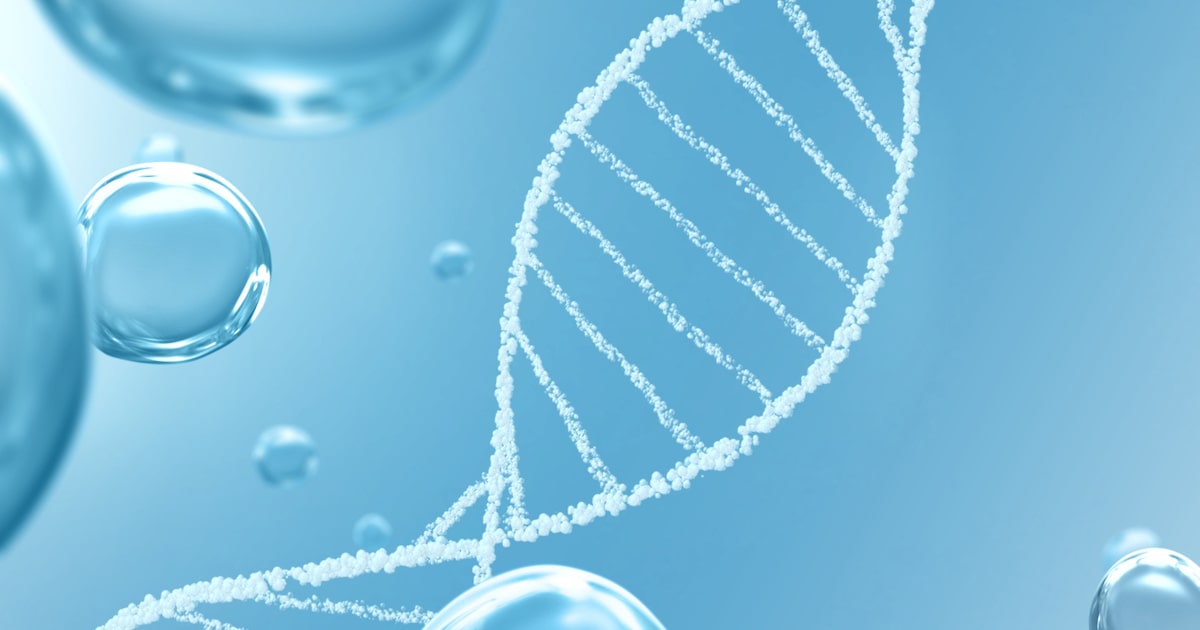 Immunodeficiency due to a late component of complement deficiency