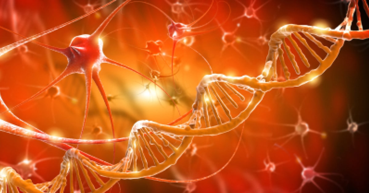 Intellectual disability syndrome due to a DYRK1A point mutation