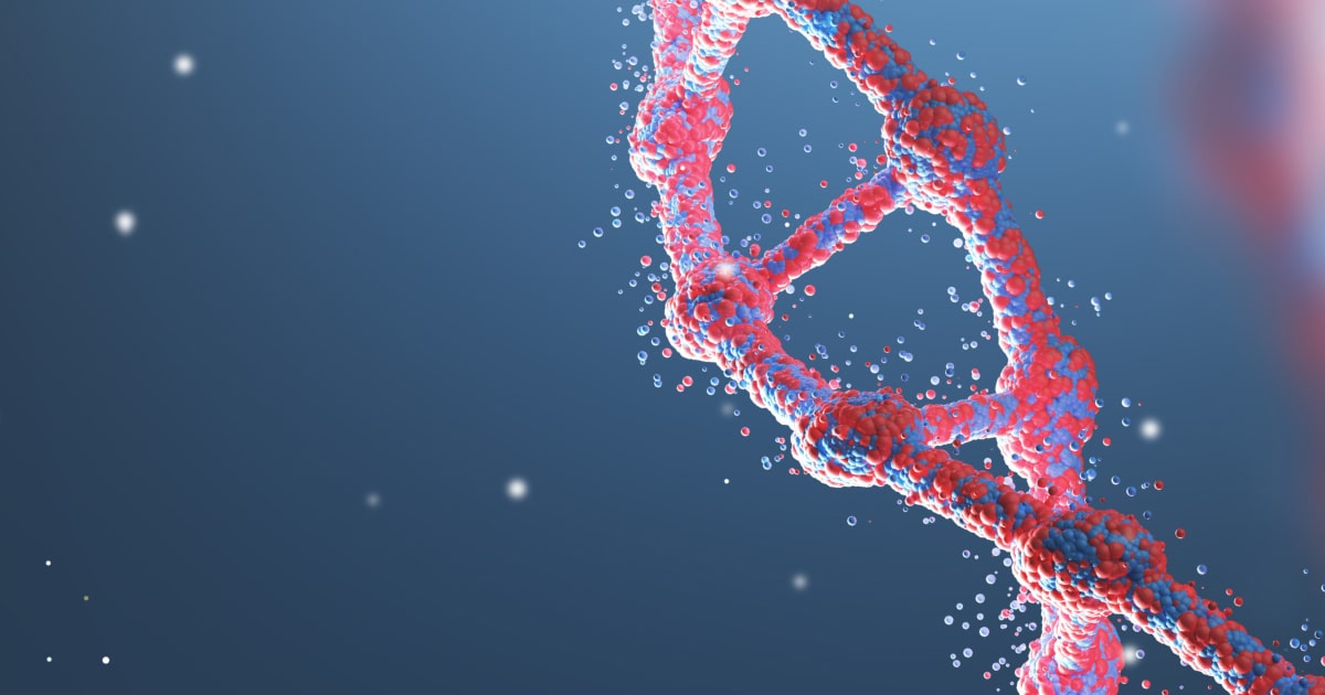 Premature chromatid separation trait