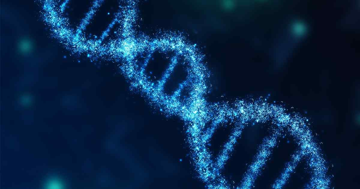 Premature chromatid separation trait