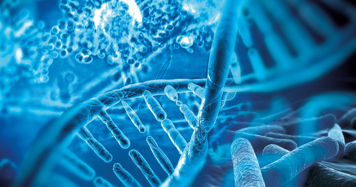 Proximal 16p11.2 microdeletion syndrome