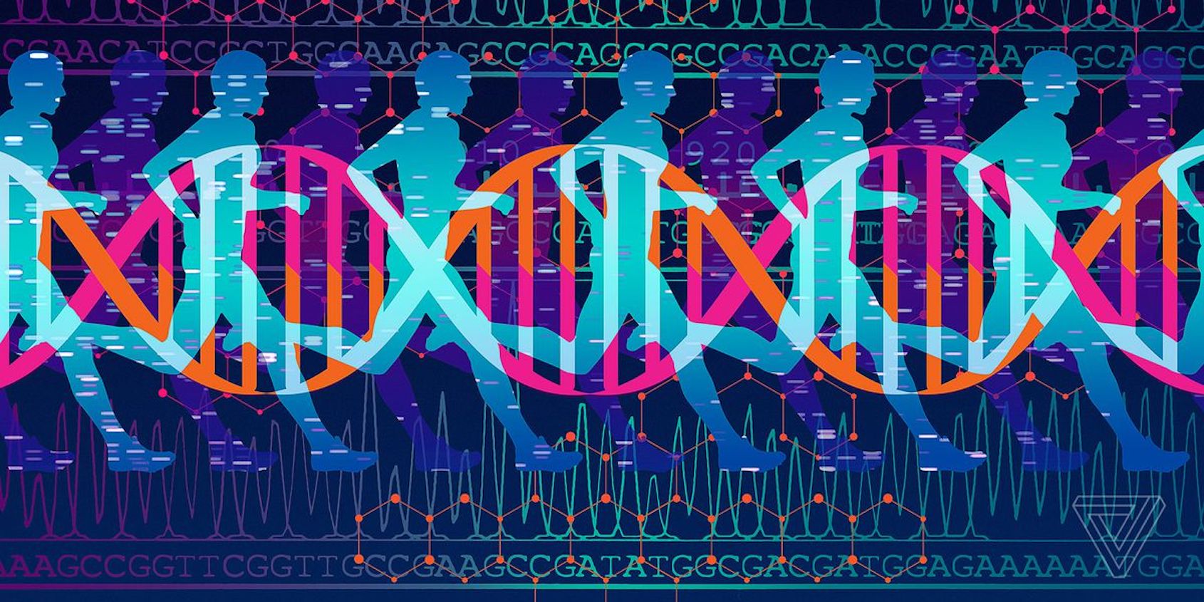 How DNA Testing Can Improve Your Health and Fitness