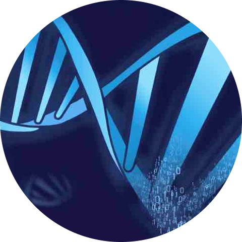 Promethease raw DNA data upload