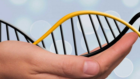 Free DNA Analysis Online with Sequencing.com