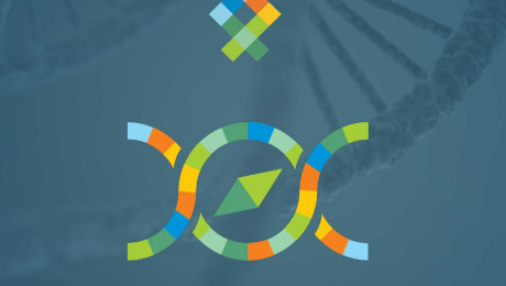 Genome explorer DNA search engine