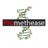 Promethease