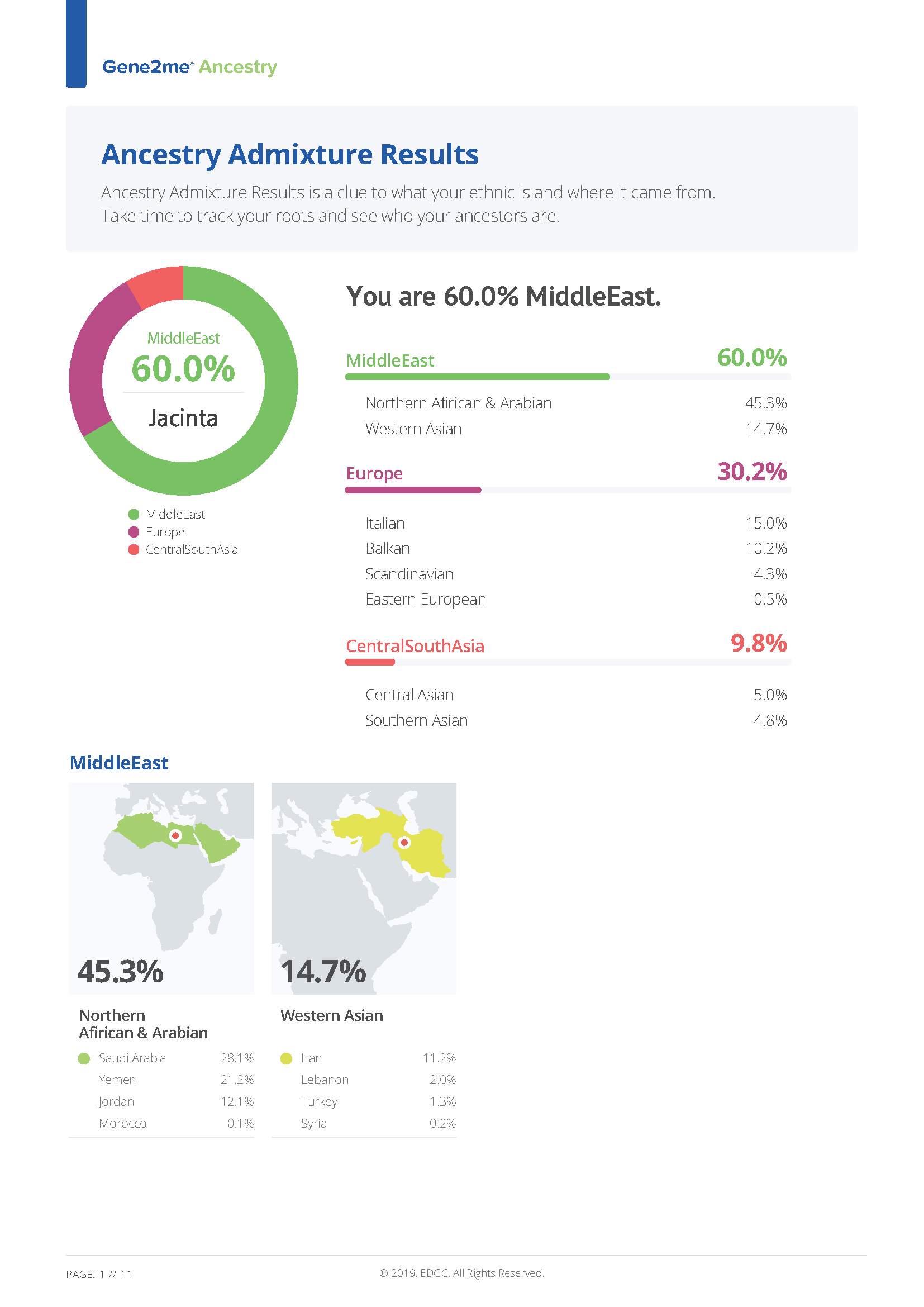 Ancestry Genealogy Dna Report Genetic Genealogy Test