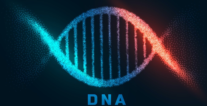 DNA sequencing