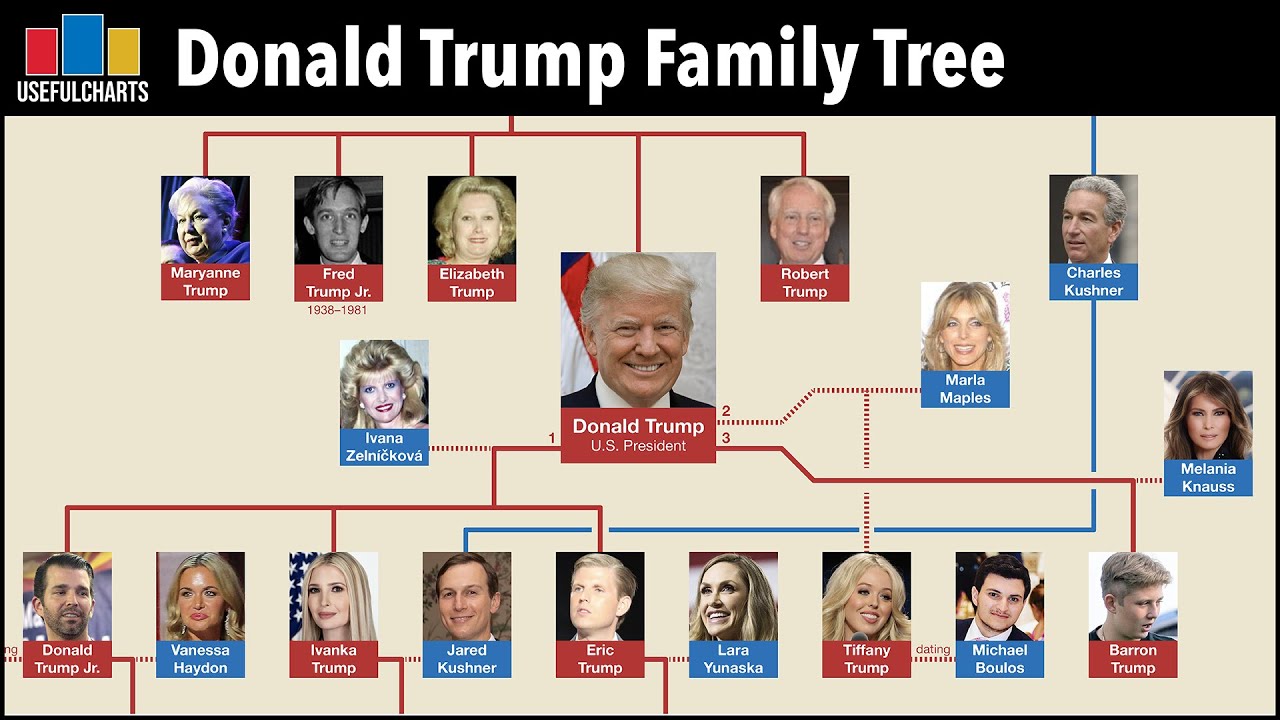 Am I Related To Trump Am I Related To Anyone Famous  Free