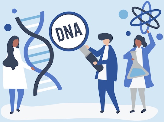 sequencing DNA