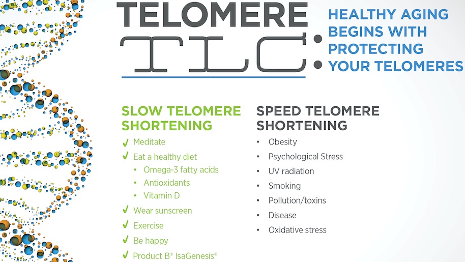 Telomere Shortening