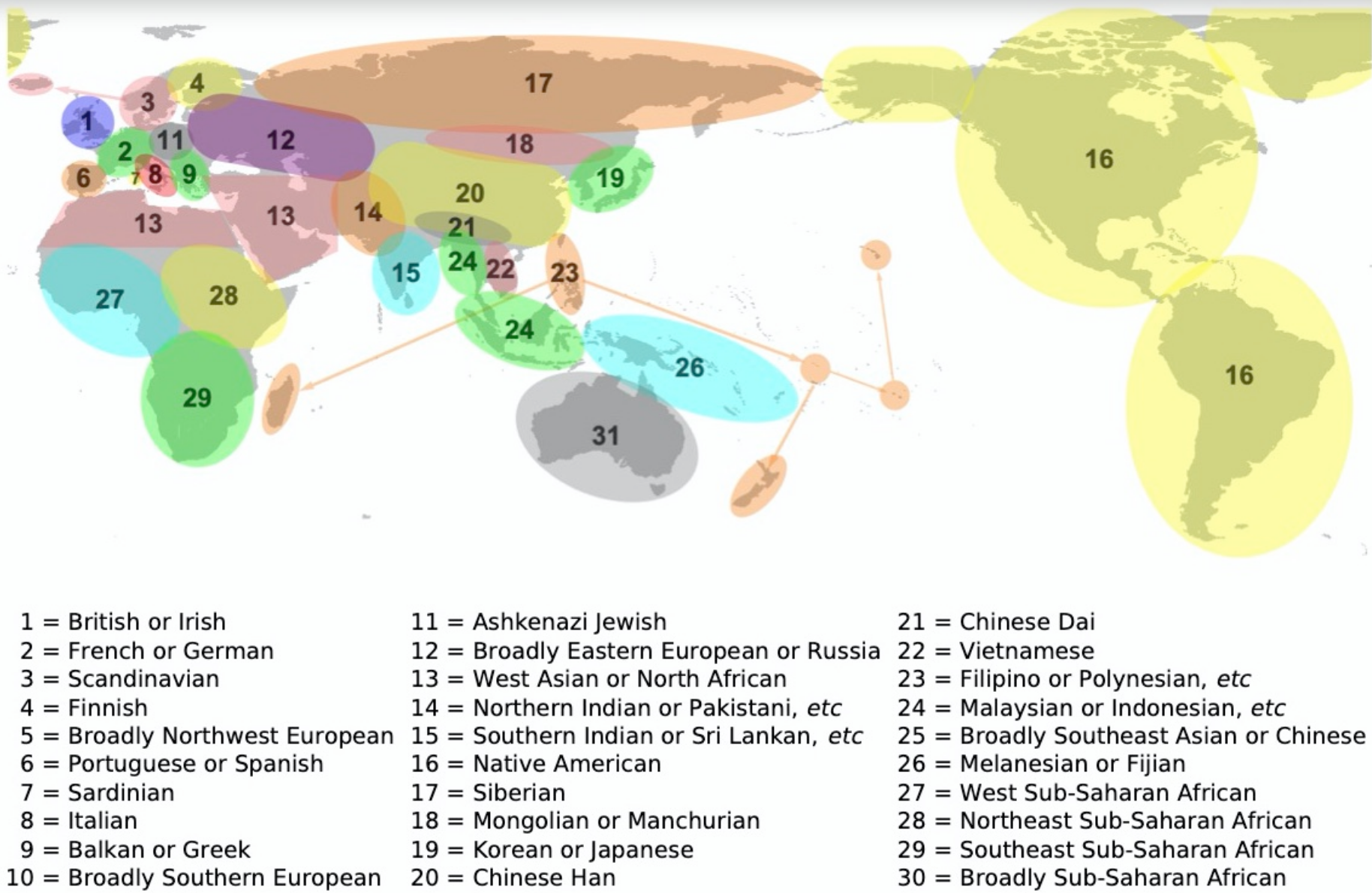 Genetic Ancestry DNA Report With Haplogroups Haplotypes UPDATED AUG 