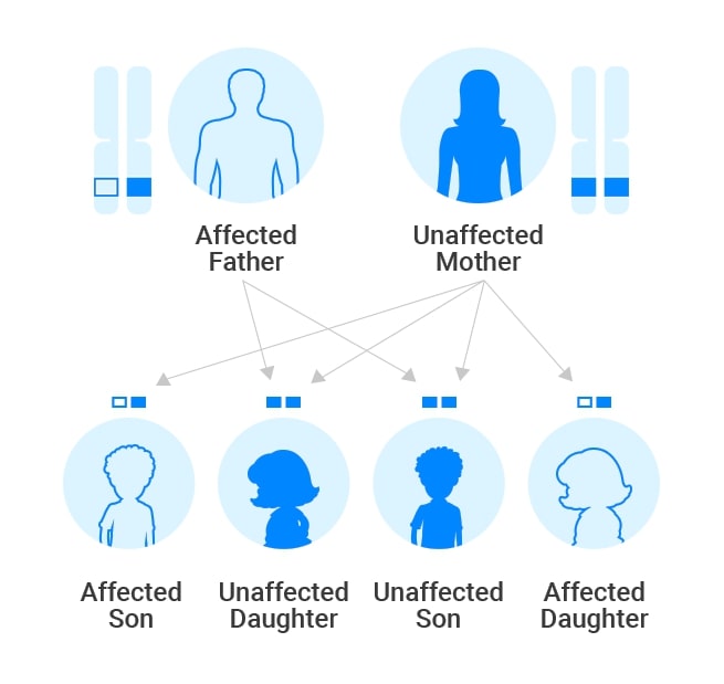 Genetic Testing For Breast Cancer What Does The Brca1 Gene Do 6395