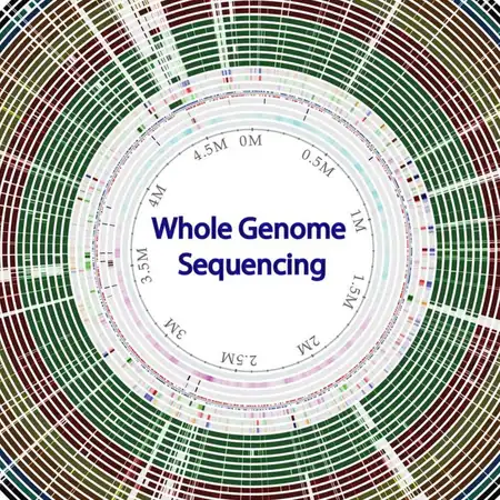 whole genome sequencing results