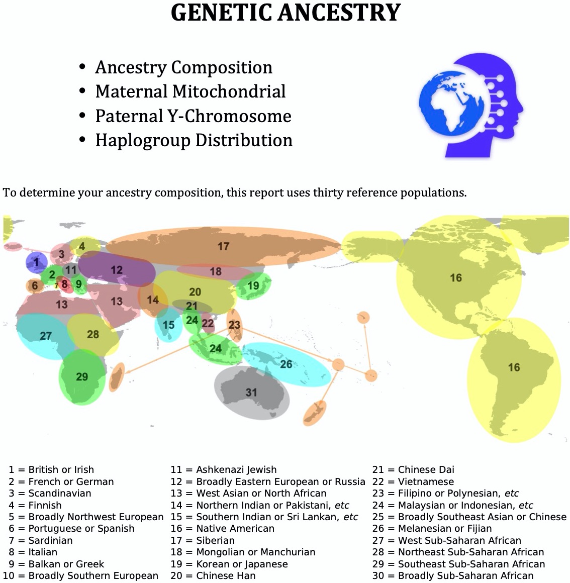 Genetic Ancestry DNA Report Ancestry Composition
